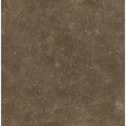 Керамогранит Ararat Мокко Матовый R9 45х45  (K823193)