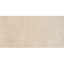 Деталь BL01 30x60 Непол.  (BL01)