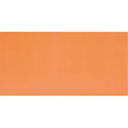 AGATHA NARANJA 25x50