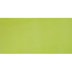 AGATHA PISTACHO 25x50