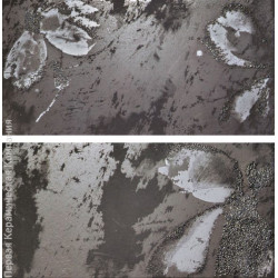 Декор Euphoria dec. Dark Black (комп/2шт) 25,1х50,5