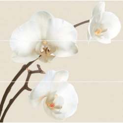 Панно DEKOR ORQUIDEA  (Comp3pz) C-5 75*75