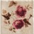 Декор Petite Avorio Rose (комп/3шт) 10х10