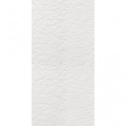 1041-0058 Фьюжн Белый 19,8х39,8