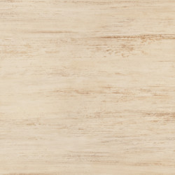 Пол SELENE NOMAD BEIGE 47.2x47.2