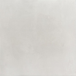 Керамогранит Century Unimited светло-серый 60х60  (K2664CF600010)