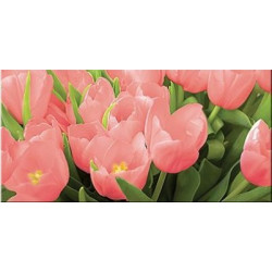 Декор Элара Коралл Триумф 20,1х40,5