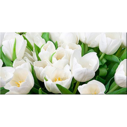 Декор Элара Верде Триумф 20,1х40,5