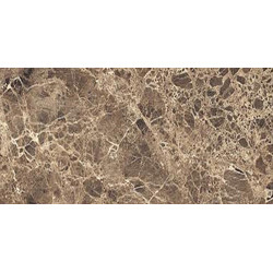 Деталь EL01 30x60 Полир.  (EL01)