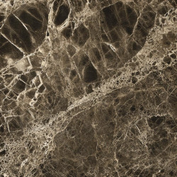 EL03 40x40 Полир.Рект.  (EL03)