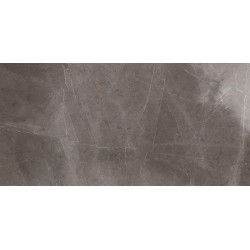 Керамогранит Evolutionmarble Grey Lux Rett. 58х116  (MH20)