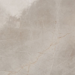 Керамогранит Evolutionmarble Tafu Lux Rett. 58х58  (MH25)