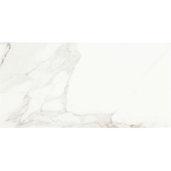 Керамогранит Evolutionmarble Calacatta Rett. 30х60  (MHUS)