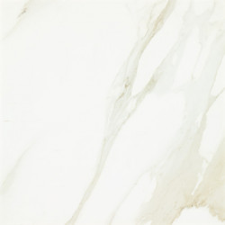 Керамогранит Evolutionmarble Calacatta Rett. 60х60  (MHV2)