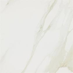Керамогранит Evolutionmarble Calacatta Lux Rett. 58х58  (MK0J)