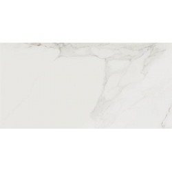 Керамогранит Evolutionmarble Calacatta Lux Rett. 29х58  (MK0L)