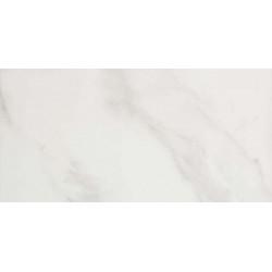 Керамогранит Evolutionmarble Calacatta Oro Lux Rett. 58х116  (MM6E)