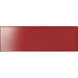 Плитка Frame Plum 25х76  (R4YD)