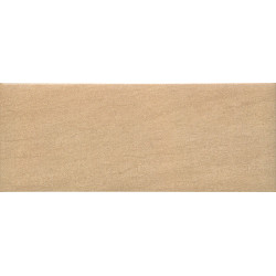 Плитка Globe Miel 20х50