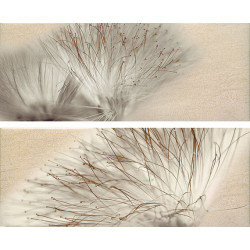 Декор Set(2) Base Miel 20х50