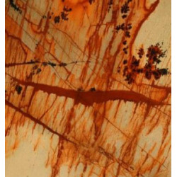 Натуральный камень Roma Imperiale