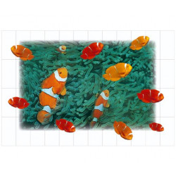 Фотопанно FT-SERA FS023