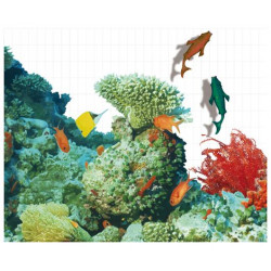 Фотопанно FT-SERA FS035