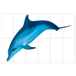 Фотопанно FT-SERA FS037