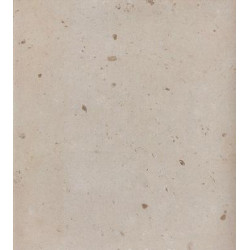 Натуральный камень Beige Fossil