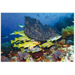 Фотопанно FT-SERA FS039