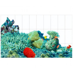 Фотопанно FT-SERA FS020