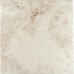 ARENA BONE Матовая - 60x60