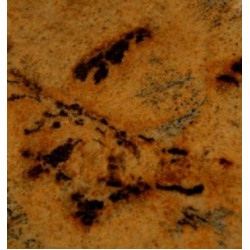 Натуральный камень Lapidus Gold