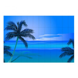 Фотопанно FT-SERA FS052