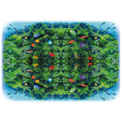 Фотопанно FT-SERA FS036