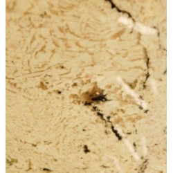 Натуральный камень Delycatus White