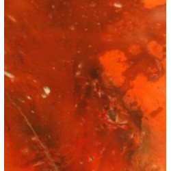 Натуральный камень Nougat