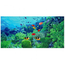 Фотопанно FT-SERA FS021-22