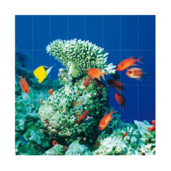 Фотопанно FT-SERA FS032