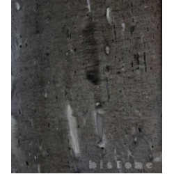 Натуральный камень Cygnus