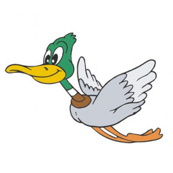 Фотопанно FT-SERA FS110