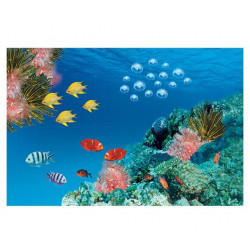 Фотопанно FT-SERA FS115