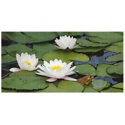 Фотопанно FT-SERA FS040