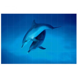 Фотопанно FT-SERA FS013