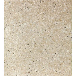 Натуральный камень Bianco Fossil