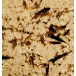 Натуральный камень Delicatus White