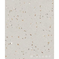 Натуральный камень Trafficstone Aosta Madreperla