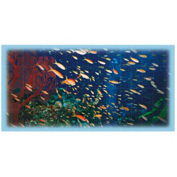 Фотопанно FT-SERA FS041