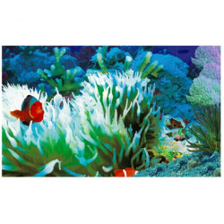 Фотопанно FT-SERA FS015