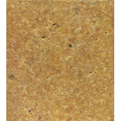 Натуральный камень Amorillo Fossil